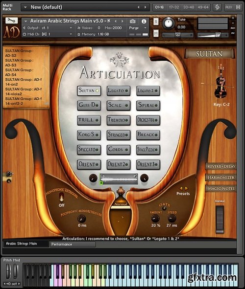 Aviram Dayan Production Aviram Arabic Strings v2.0