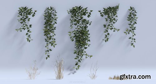 BigMediumSmall - Grand Bazaar