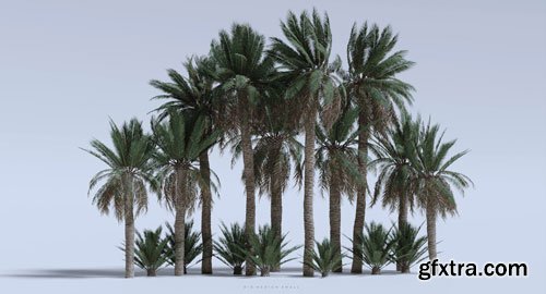 BigMediumSmall - Grand Bazaar