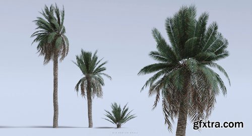 BigMediumSmall - Grand Bazaar