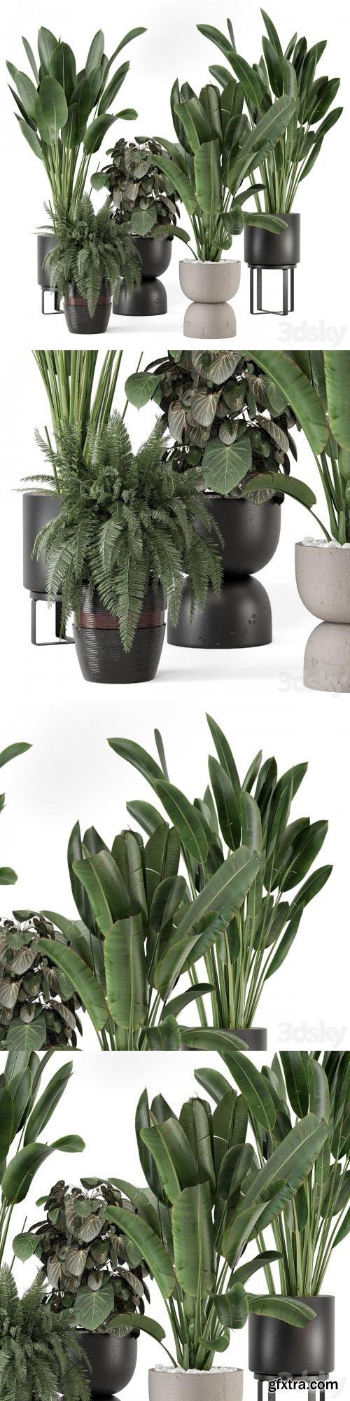 Indoor Plants in Ferm Living Bau Pot Large - Set 1256