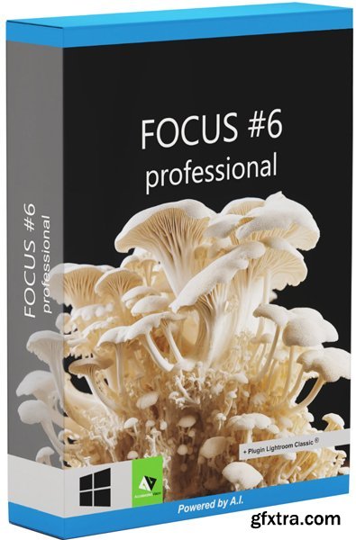 Franzis FOCUS #6 professional 6.13.04017