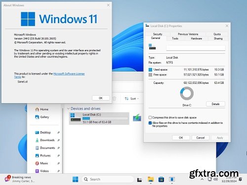 tiny11 Core 24H2 Build 26100.2605