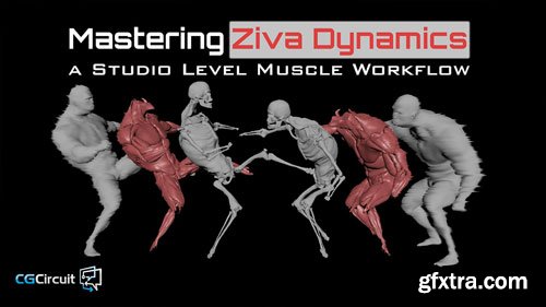 CgCircuit - Mastering Ziva Dynamics