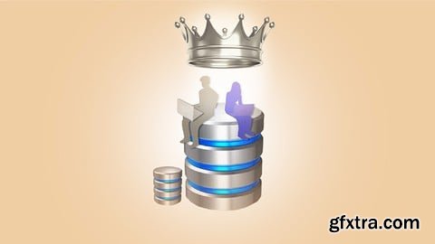 Oracle Veritabanı Y&ouml;netimi, Database Administrator(DBA) (1)