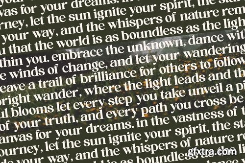 Myfonts - Brighto Wander Font Family