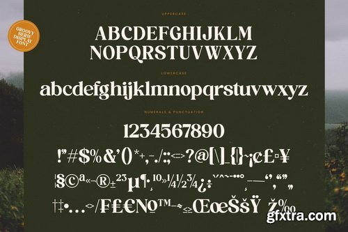 Myfonts - Brighto Wander Font Family