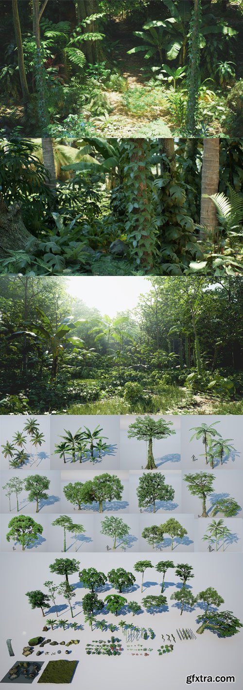 Fab - Rain Forest Pack