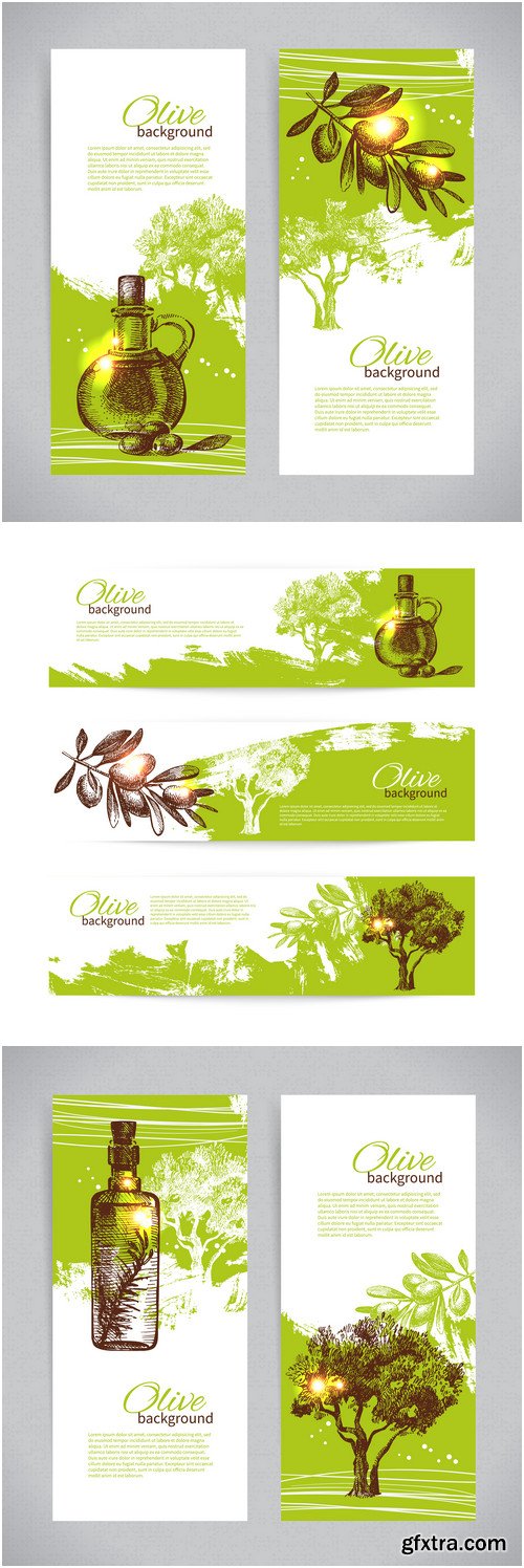 Designer vector banners and labels with olives