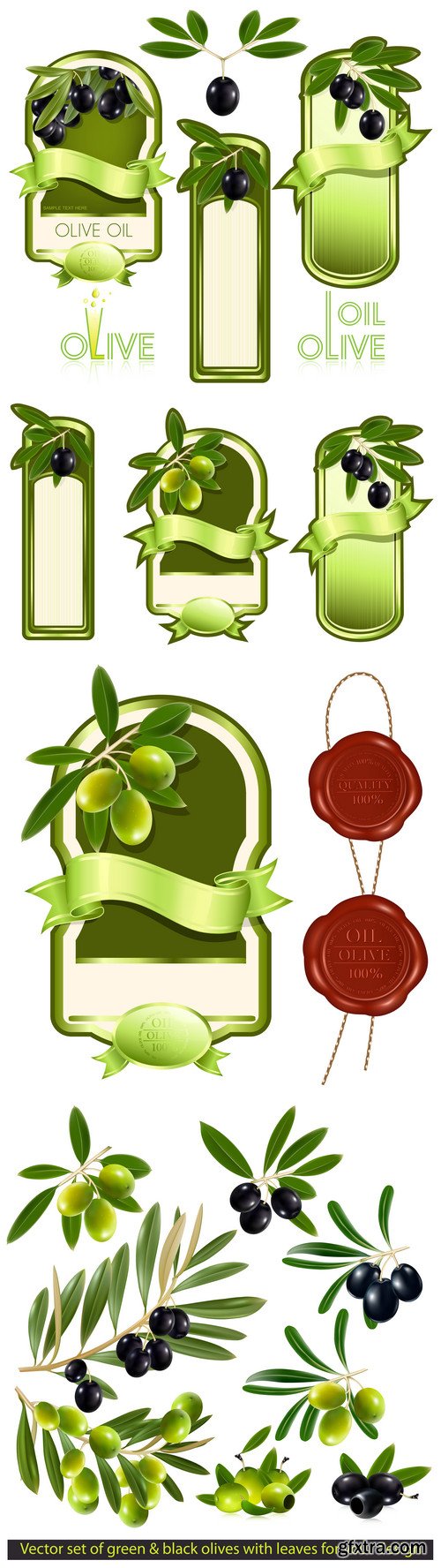 Green and black olives, vector design labels and elements