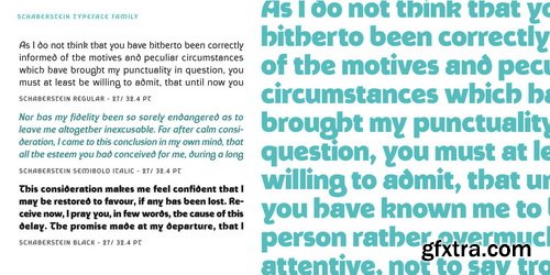 Myfonts - Schaberstein Font Family