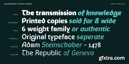 Myfonts - Schaberstein Font Family