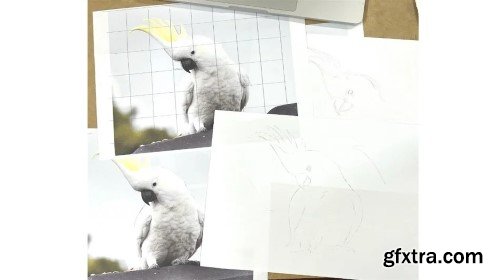 Basics on Getting Your Image Onto Watercolour Paper - Grid, Tracing or Light Box