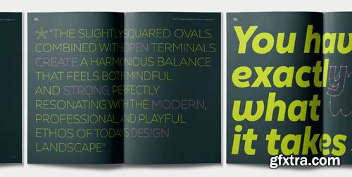 Myfonts - Matt Font Family