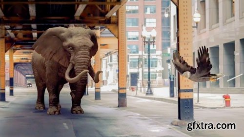 Linkedin - After Effects: Working with 3D Models