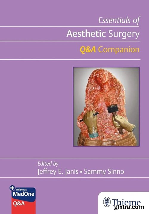 Essentials of Aesthetic Surgery Q&A Companion