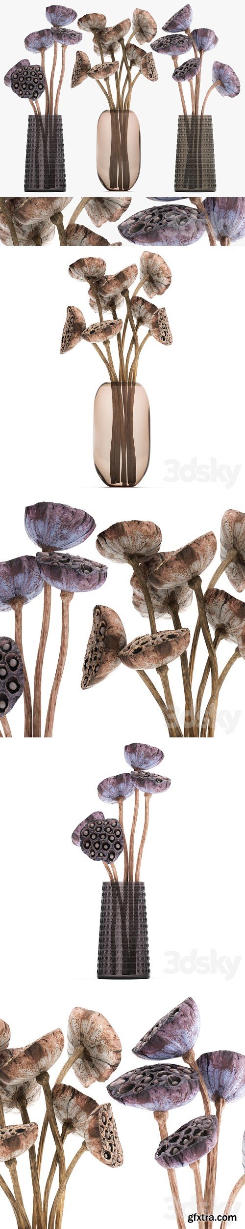 A set of bouquets of dried flowers in glass vases, dry Lotus branches, natural decor. 152.