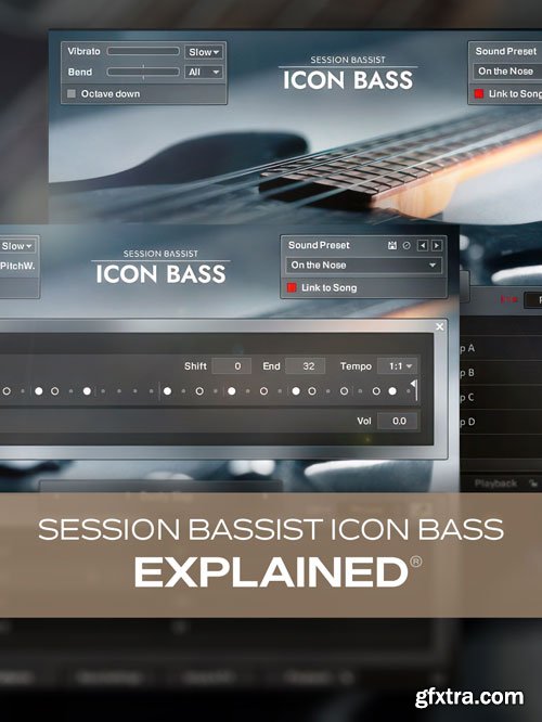 Groove3 - Session Bassist ICON BASS Explained®