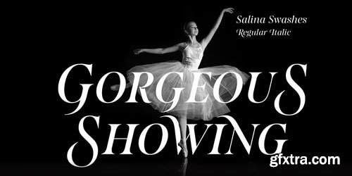 Myfonts - Salina Font Family