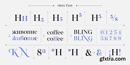 Myfonts - Salina Font Family