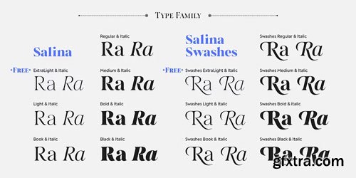 Myfonts - Salina Font Family
