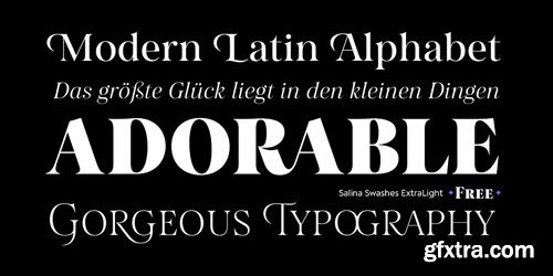 Myfonts - Salina Font Family