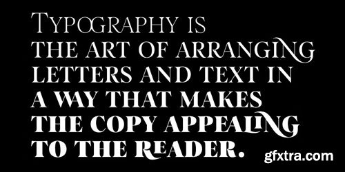 Myfonts - Salina Font Family