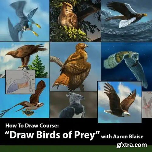 Creature Art Teacher - How to Draw Birds of Prey with Aaron Blaise