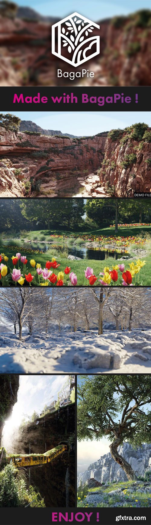 Blendermarket - Baga Pie 