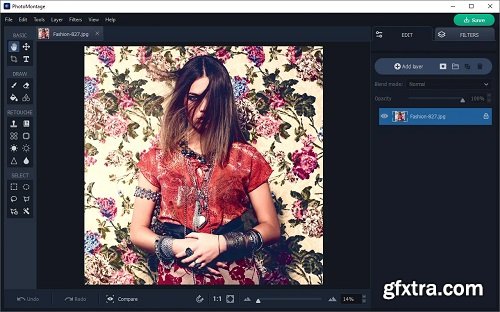 AMS Software PhotoMontage 4.1