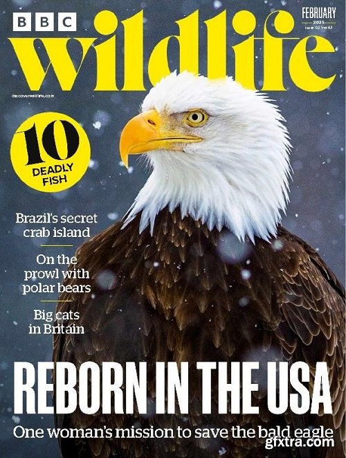 BBC Wildlife Magazine - February 2025