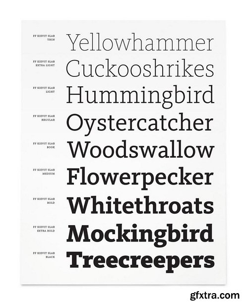 FF Kievit Slab Font Family 18 Fonts FF Kievit Slab Font Family 18 Fonts