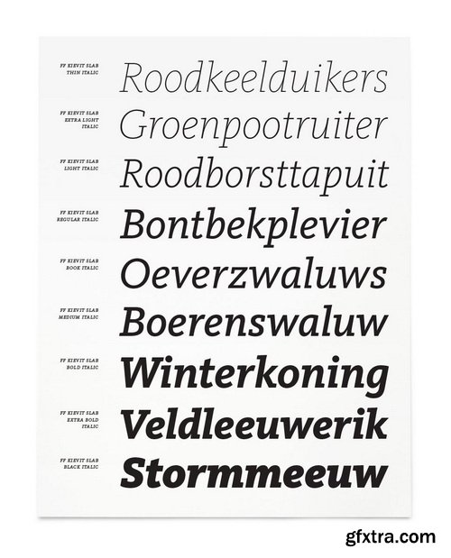 FF Kievit Slab Font Family 18 Fonts FF Kievit Slab Font Family 18 Fonts