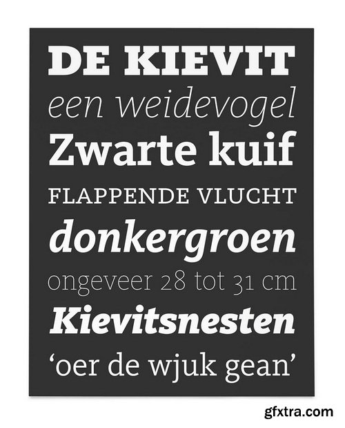FF Kievit Slab Font Family 18 Fonts FF Kievit Slab Font Family 18 Fonts