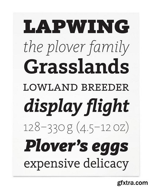 FF Kievit Slab Font Family 18 Fonts FF Kievit Slab Font Family 18 Fonts