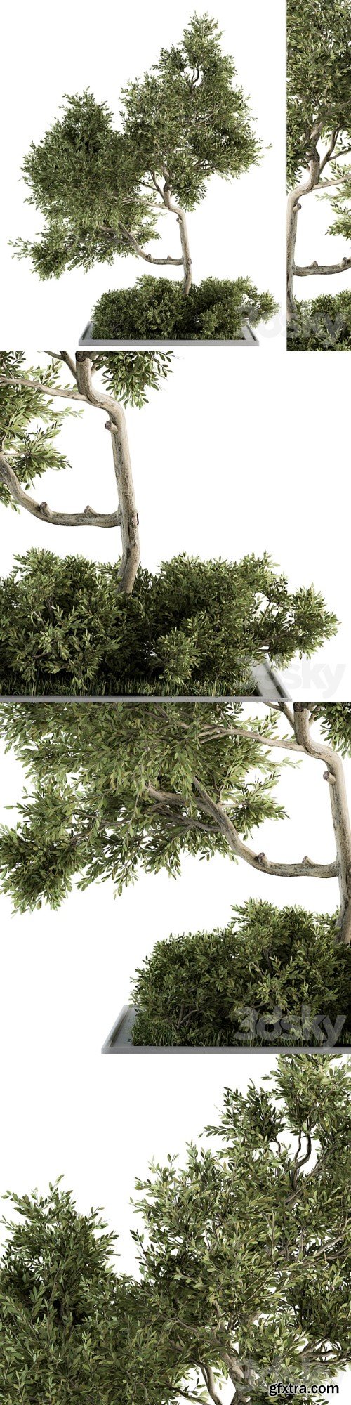 Garden set Tree and Bush - Garden Set 13