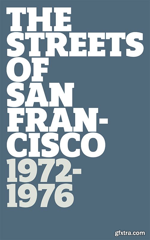 Regan Slab Font Family 20 TTF