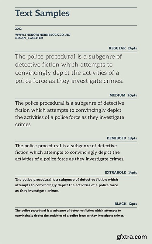 Regan Slab Font Family 20 TTF