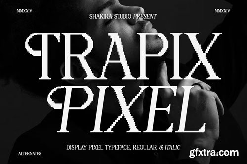CreativeMarket - Trapix - A Unique Pixel-Style Serif - 290890009