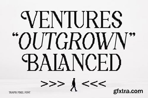 CreativeMarket - Trapix - A Unique Pixel-Style Serif - 290890009