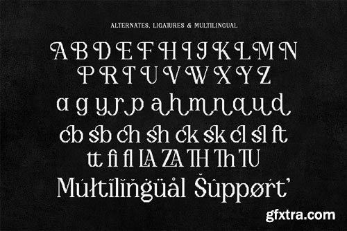 CreativeMarket - Trapix - A Unique Pixel-Style Serif - 290890009