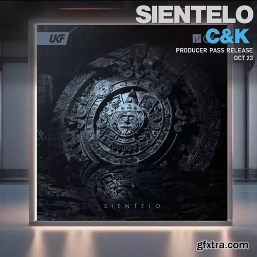 Surgical Sounds Sientelo Recreation Kit