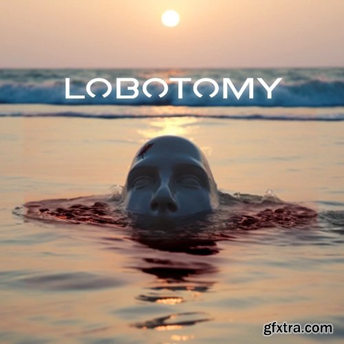 VGNs Components of a Lobotomy