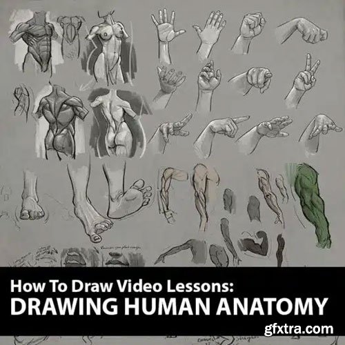 Creature Art Teacher - How to Draw: Drawing Human Anatomy