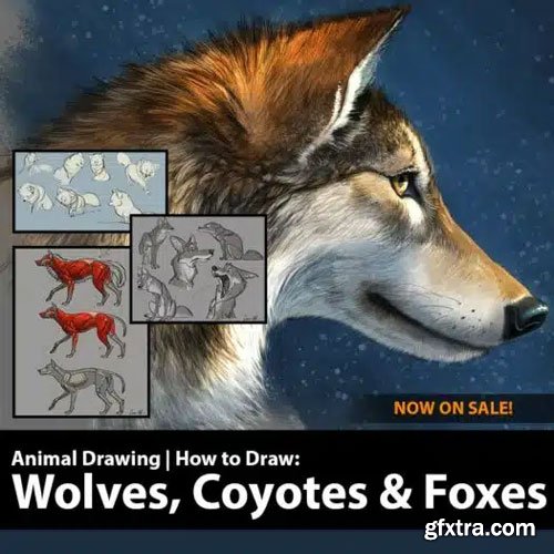 Creature Art Teacher - How to Draw Wolves, Coyotes &amp; Foxes