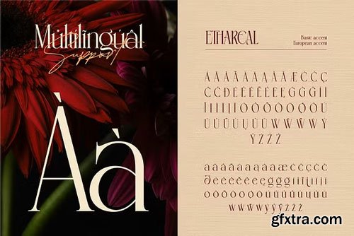 Ethareal Elegance Font Family