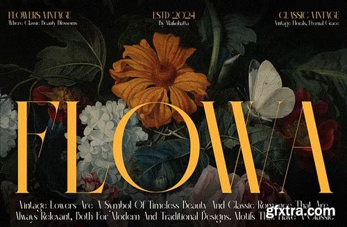 Mote Cainge - Serif Elegant Font