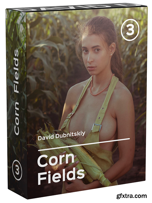 The Secrets of Masterful Erotic Photography by David Dubnitskiy: Corn Field Photoshoot The Secrets of Masterful Erotic Photography by David Dubnitskiy: Corn Field Photoshoot