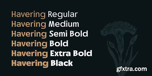 Havering Font Family