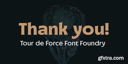 Havering Font Family